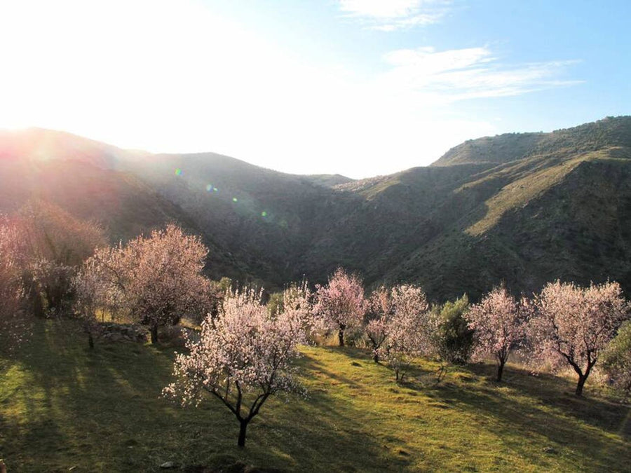 Nature & mountain landscapes