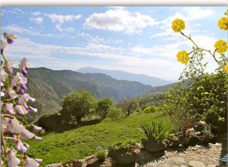 Spain Retreat 2026