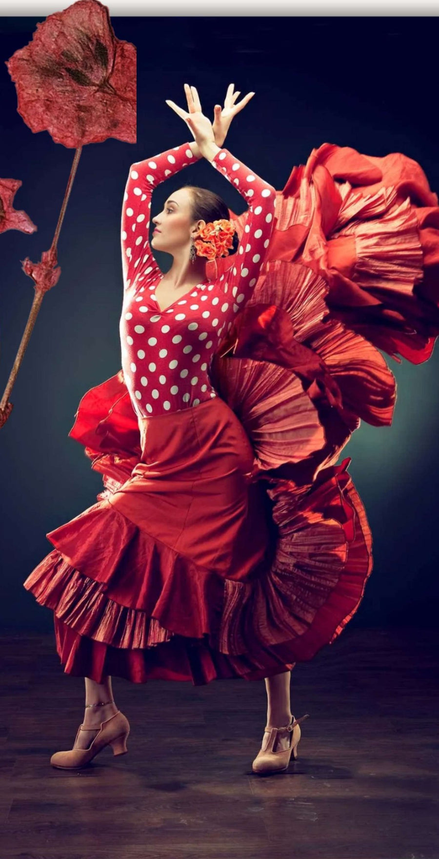 Flamenco evening