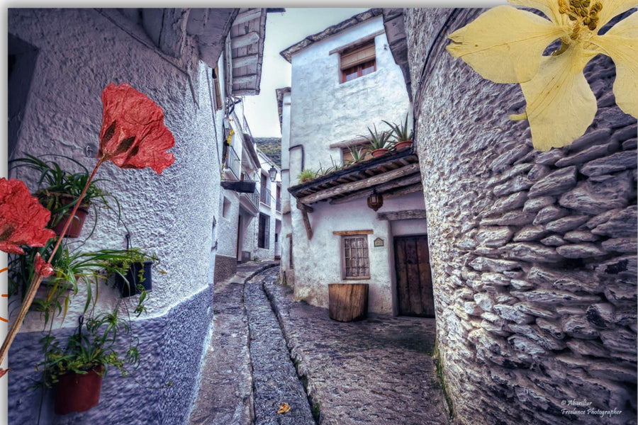 White villages
