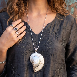 Nautilus Shell Pendant Necklace | White